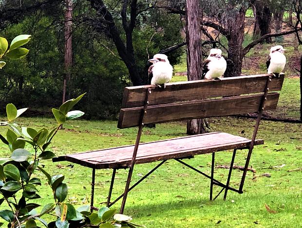 Photo 19 for Countryside Retreat - Intimate Studio Daylesford