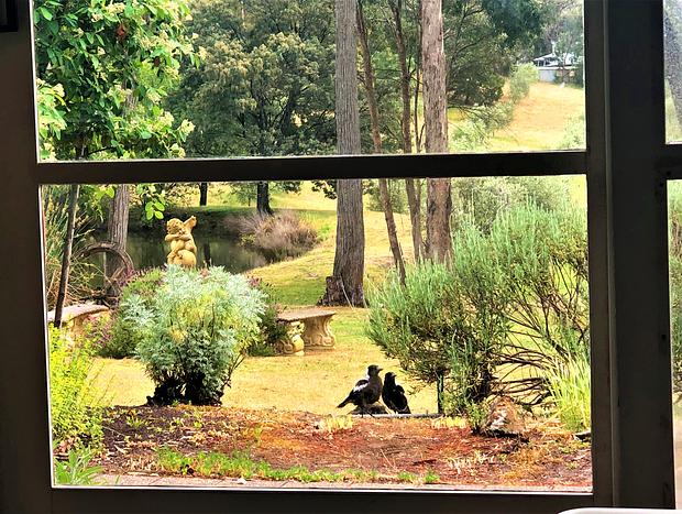Photo 20 for Countryside Retreat - Intimate Studio Daylesford