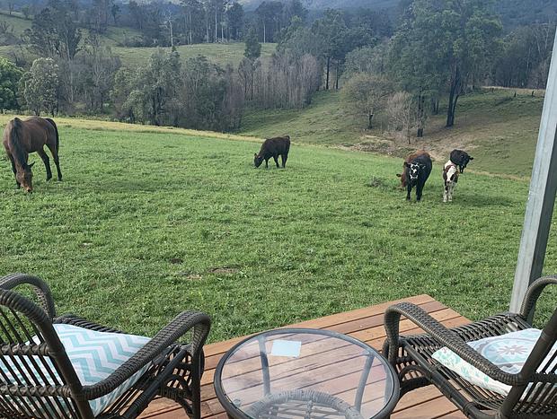 Photo 7 for Views And Moos