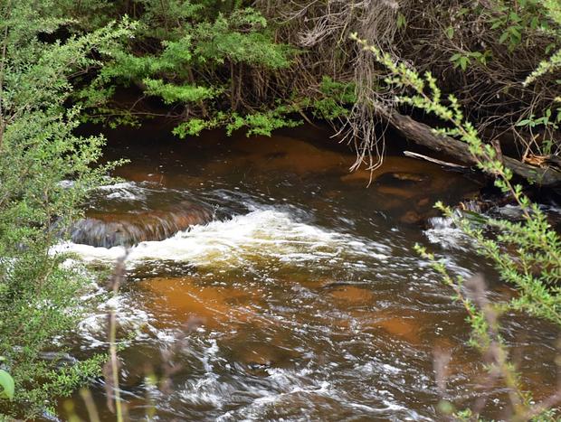 Wilhelmina Falls