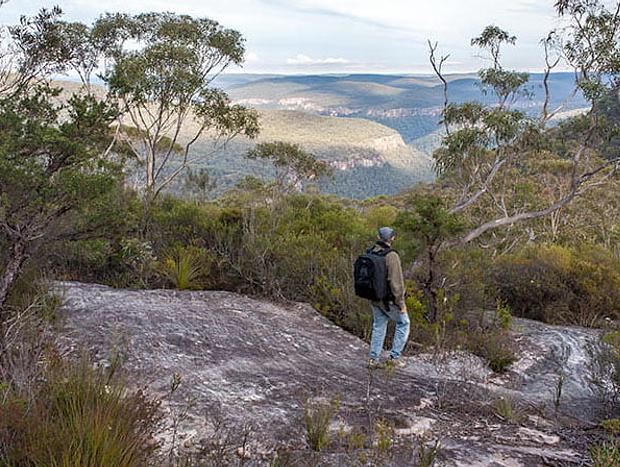 Photo 3 for Lovers Walking Track