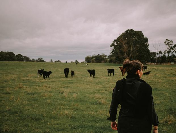 Photo 3 for Exploring the Glenlowren Farm