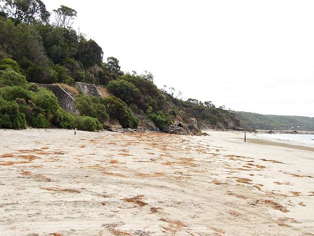 Photo 1 for Walkerville Coastal Trail