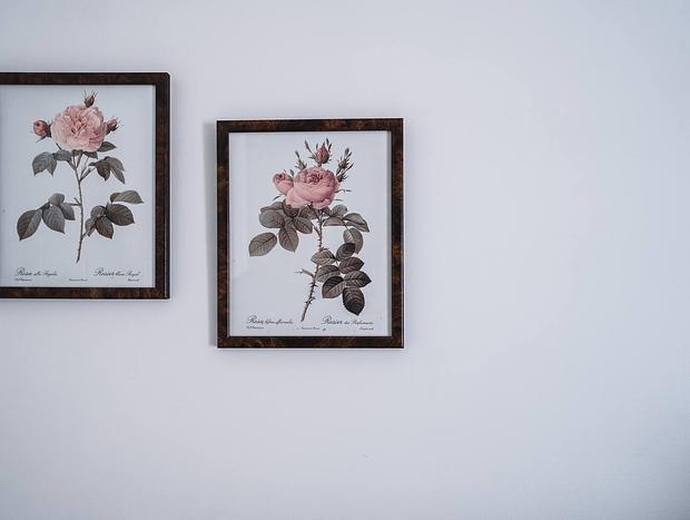 Photo 24 for Wattle Terrace - Central Castlemaine Sanctuary
