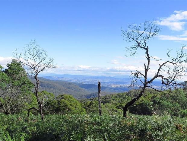 Photo 3 for Mount Samaria State Park