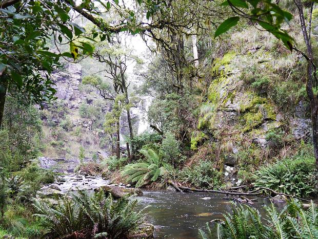 Photo 2 for Stevensons Falls