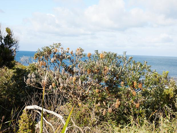 Photo 1 for Cliff Walk