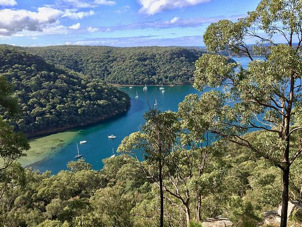 Photo 4 for Ku-ring-gai Chase National Park