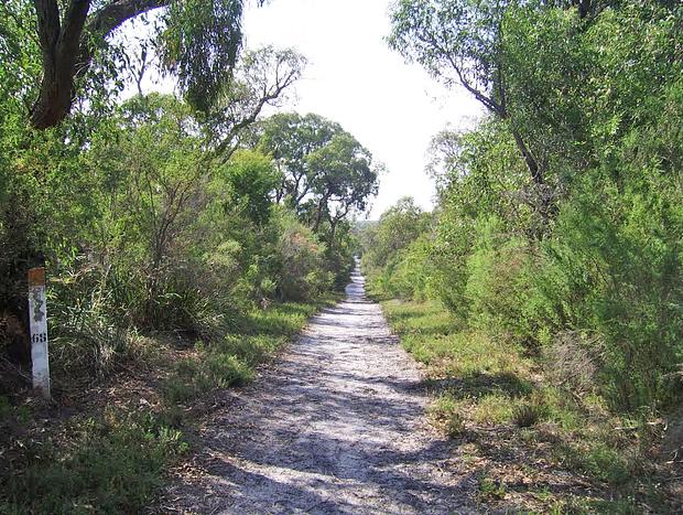 Photo 2 for The Gurdies Nature Conservation Reserve
