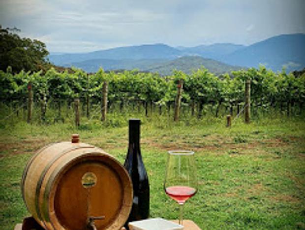 Photo 5 for KiNam Vinea - A vineyard farmhouse in the Yarra Valley