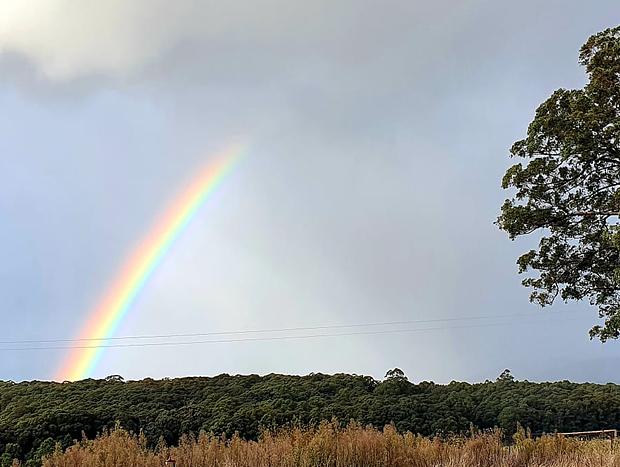 Photo 10 for KiNam Vinea - A vineyard farmhouse in the Yarra Valley