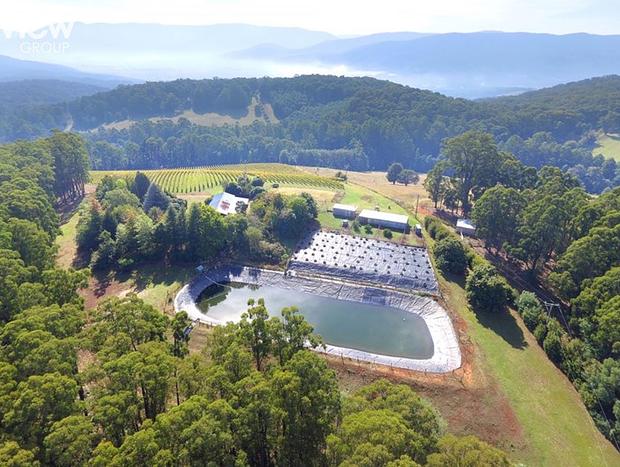 Photo 4 for KiNam Vinea - A vineyard farmhouse in the Yarra Valley