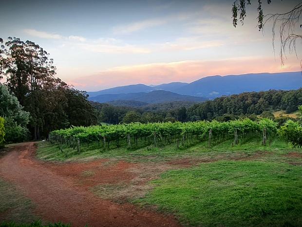 Photo 13 for KiNam Vinea - A vineyard farmhouse in the Yarra Valley