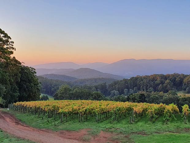 Photo 12 for KiNam Vinea - A vineyard farmhouse in the Yarra Valley