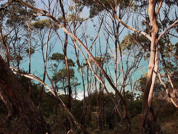 Photo 3 for Cycling the Great Ocean Road from Aireys to Lorne