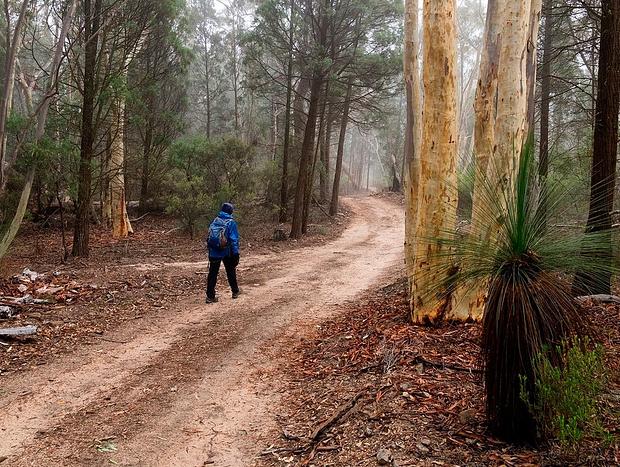 Photo 3 for Munghorn Gap Nature Reserve