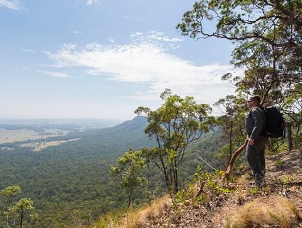 Photo 3 for Turners Walking Track