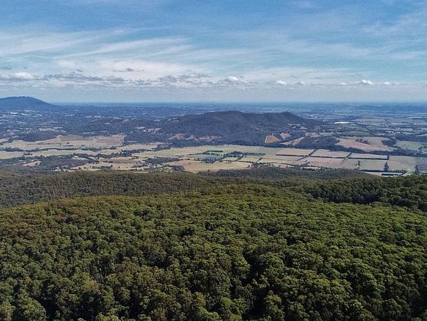 Photo 3 for Mount Toolebewong