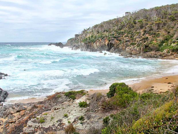 Photo 2 for Mimosa Rocks National Park