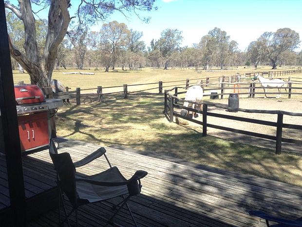 Photo 14 for Wongaburra Woolshed