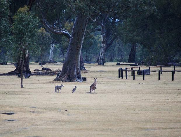 Photo 17 for Wongaburra Woolshed