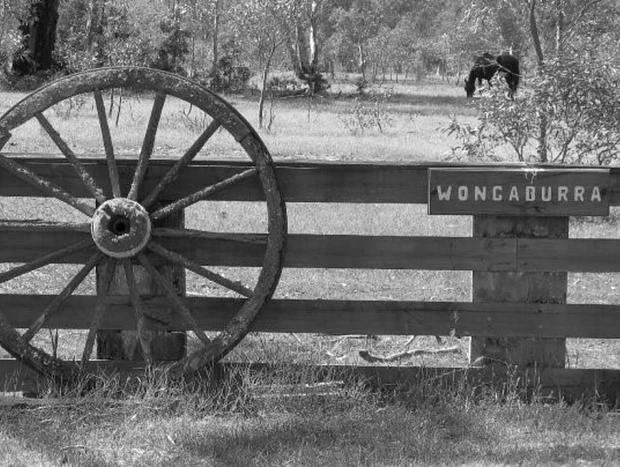Photo 23 for Wongaburra Woolshed