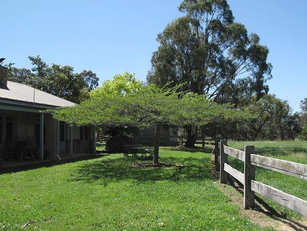 Photo 25 for Tarra Lane Cottage B (one of two)