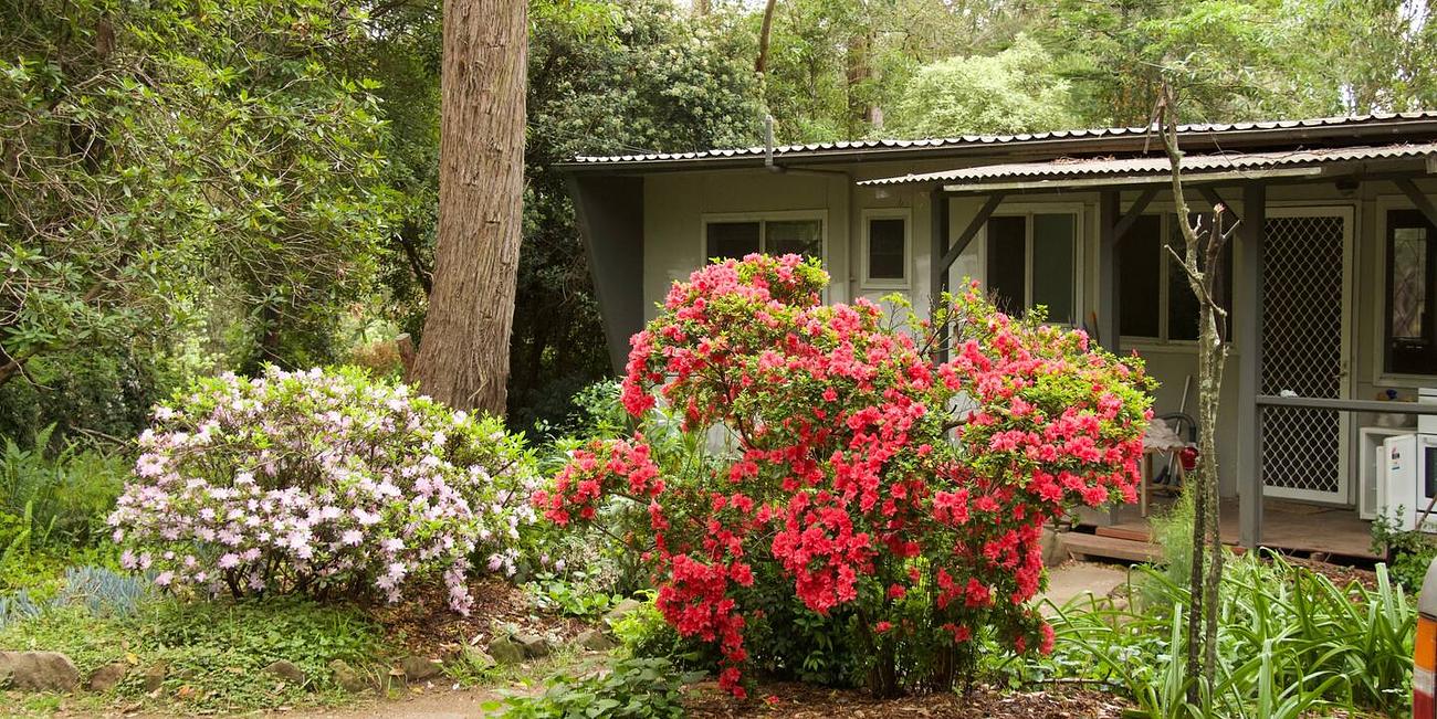 Magical Mountain Retreat Cottage for Rent in Bilpin, Blue Mountains