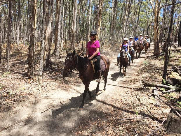 Photo 5 for Hepburn Lagoon Trail Rides