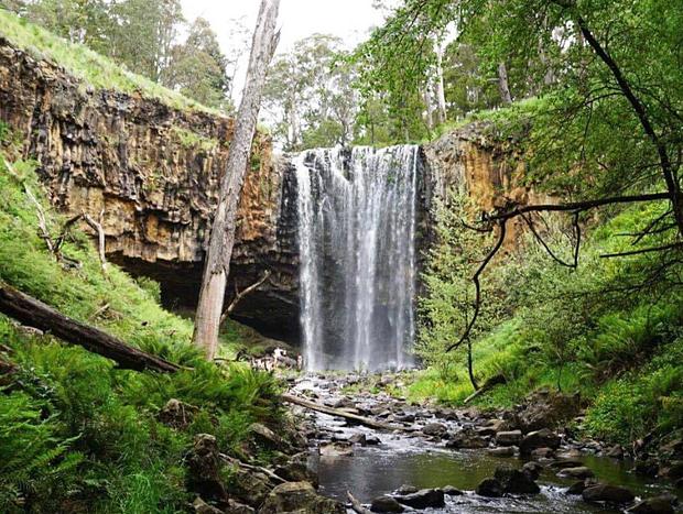 Photo 4 for Trentham Falls