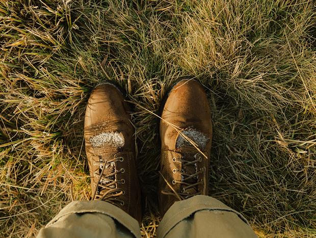Photo 2 for Meander in the Field