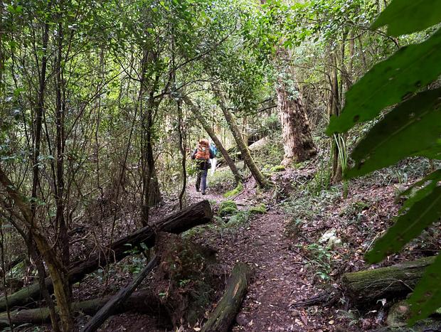 Photo 1 for Onley State Forest