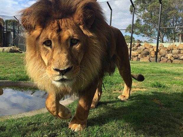 Hunter Valley Zoo
