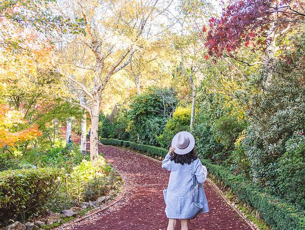 Photo 1 for Mount Macedon and Hanging Rock