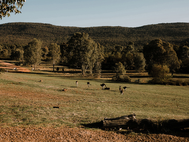 Photo 7 for Energy of the Grampians