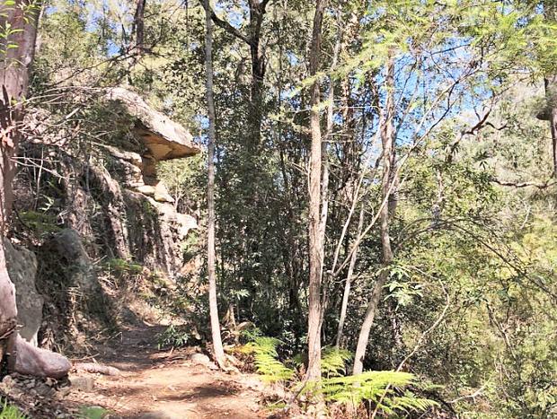 Photo 2 for Red Hands Cave Walking Track