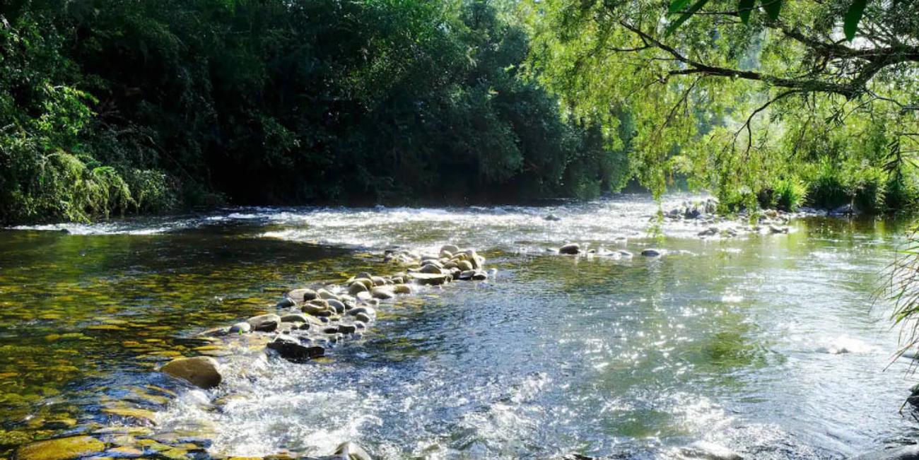 Barrington River Lodge, on the Barrington River House for Rent in