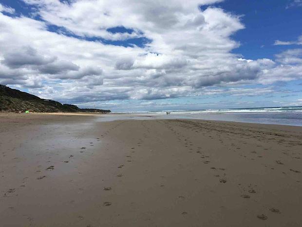 Photo 42 for Forest View - Where the Forest Meets the Ocean