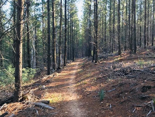 Mountain Biking