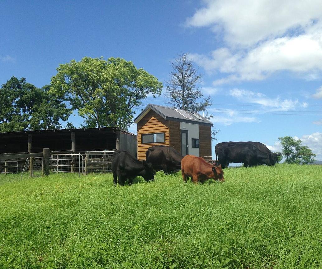 Tiny Home … BIG Views, Kurrajong Tiny house for Rent in Kurrajong