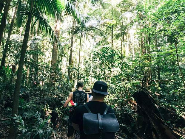 Photo 2 for Nightcap National Park