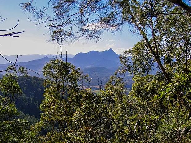Photo 3 for Nightcap National Park