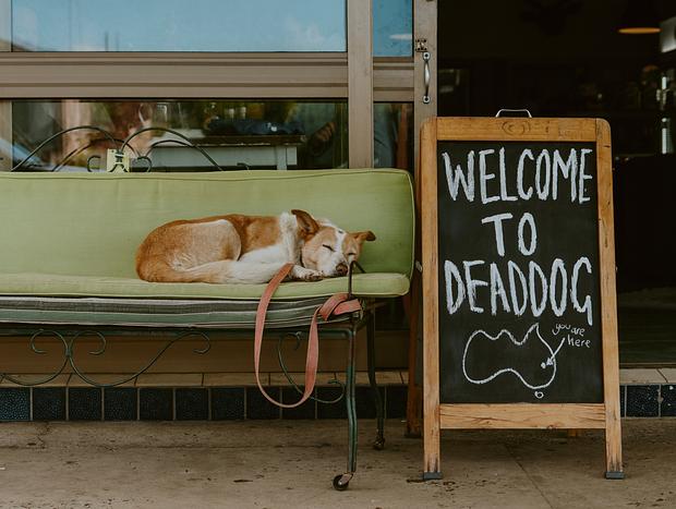 Photo 3 for Strolling Dungog Town