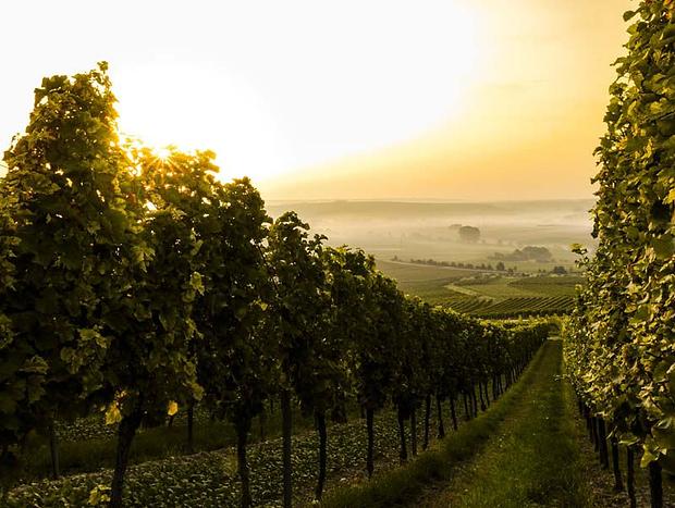 Southern Highlands Wineries