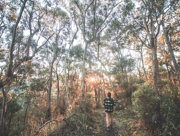 Photo 6 for Immersed in the Rainforest