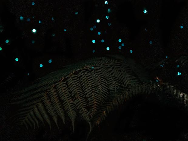 Photo 4 for undefined