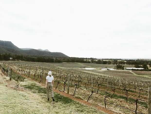 Photo 7 for Good Times in the Vines