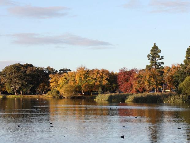 Photo 3 for Lake Weeroona