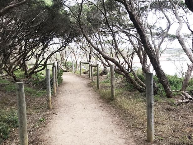 Photo 1 for Queenscliff to Point Lonsdale Walking Trail