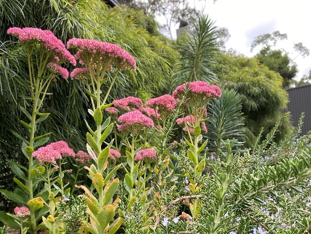 Photo 39 for Elsewhere Red Hill - on 10 acres - 6 mins to beach
